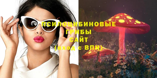 соль ск Магас