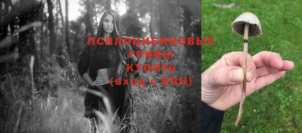 spice Майский